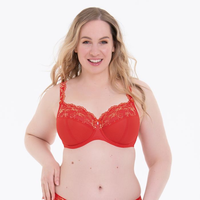 Rosa Faia COLETTE - Big Cup BH