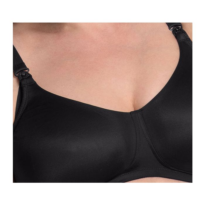 Rosa Faia BASIC - Still-BH Kostenloser Versand international