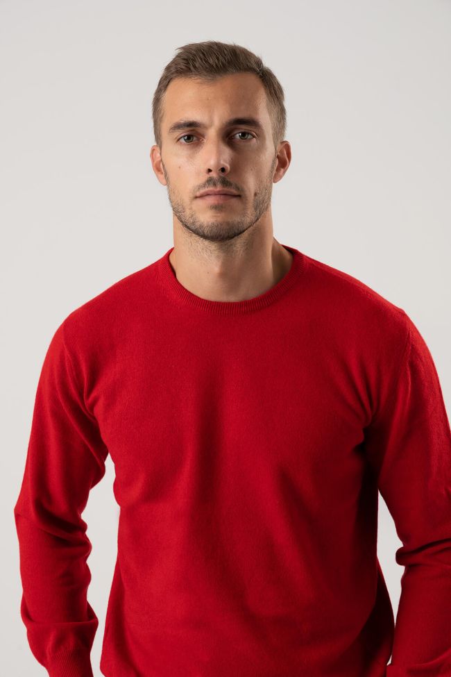 privati firenze Strickwaren Herren Privati Firenze Rundhalsausschnitt Slim Einfarbig 100% Kaschmir Bis zu 65% Rabatt