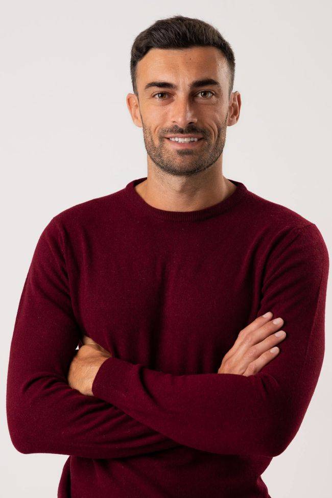 privati firenze Strickwaren Herren Privati Firenze Rundhalsausschnitt Slim Einfarbig 100% Kaschmir Blitzverkäufe