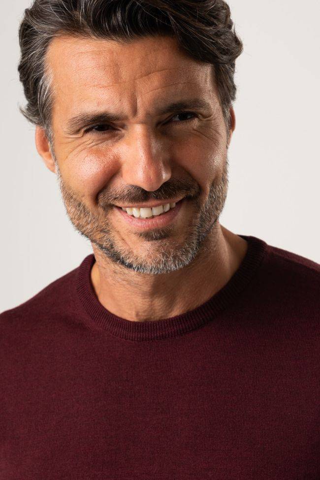 privati firenze Strickwaren Herren Privati Firenze Rundhalsausschnitt Slim Einfarbig 100% Merinowolle Lagerräumung