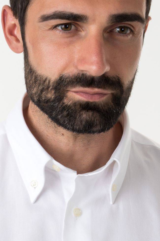 aplomb Hemd Herren Aplomb Classic Einfarbig 100% Baumwolle kragen Button-Down Lange Ärmel JETZT KAUFEN