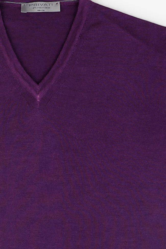 privati firenze Strickwaren Herren Privati Firenze V-Ausschnitt Regular Einfarbig 100% Merinowolle Preisnachlass