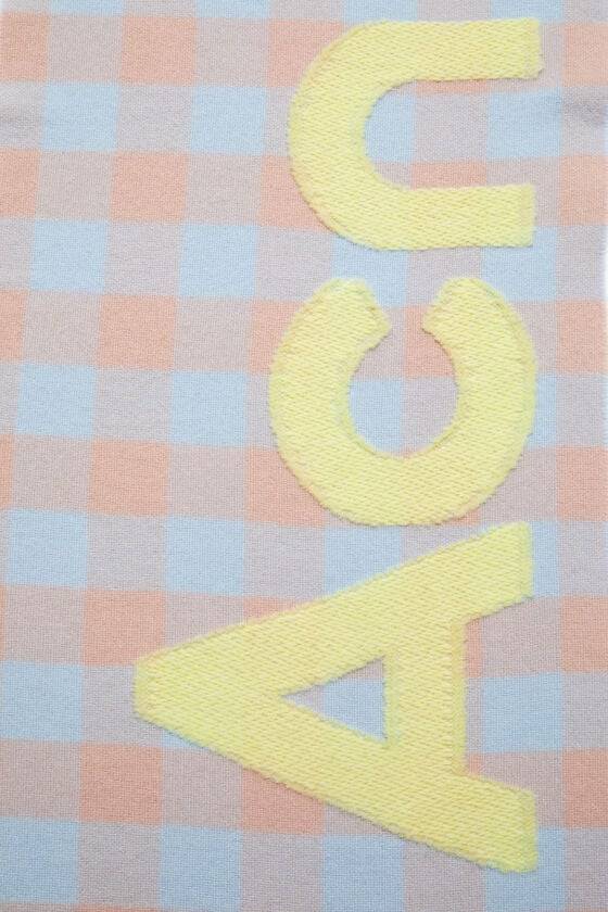Acne Studios Karierter Schal mit Logo Letzte 2 Tage