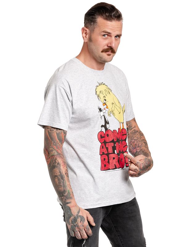 Nastrovje Potsdam Looney Tunes Come At Me Bro Herren T-Shirt grau meliert Fabrikladen