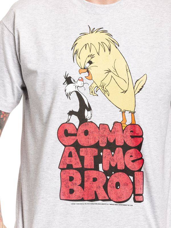 Nastrovje Potsdam Looney Tunes Come At Me Bro Herren T-Shirt grau meliert Fabrikladen