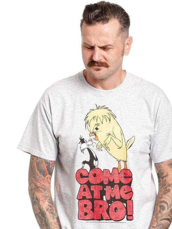 Nastrovje Potsdam Looney Tunes Come At Me Bro Herren T-Shirt grau meliert Fabrikladen