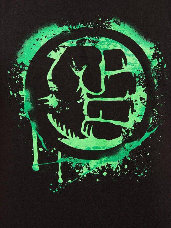 Nastrovje Potsdam The Hulk Punch Herren T-Shirt schwarz NH 2025