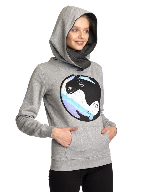 Nastrovje Potsdam Dragons, Drachenzähmen leicht gemacht Night&Light Damen Schalkragenpullover grau meliert 2025
