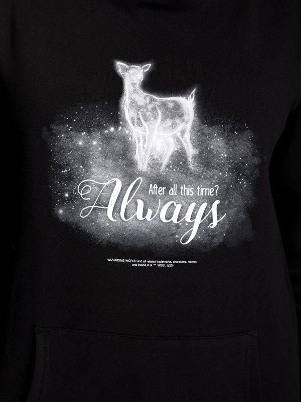 Nastrovje Potsdam Harry Potter Patronus Damen Schalkragenpullover schwarz/grau Auslauf
