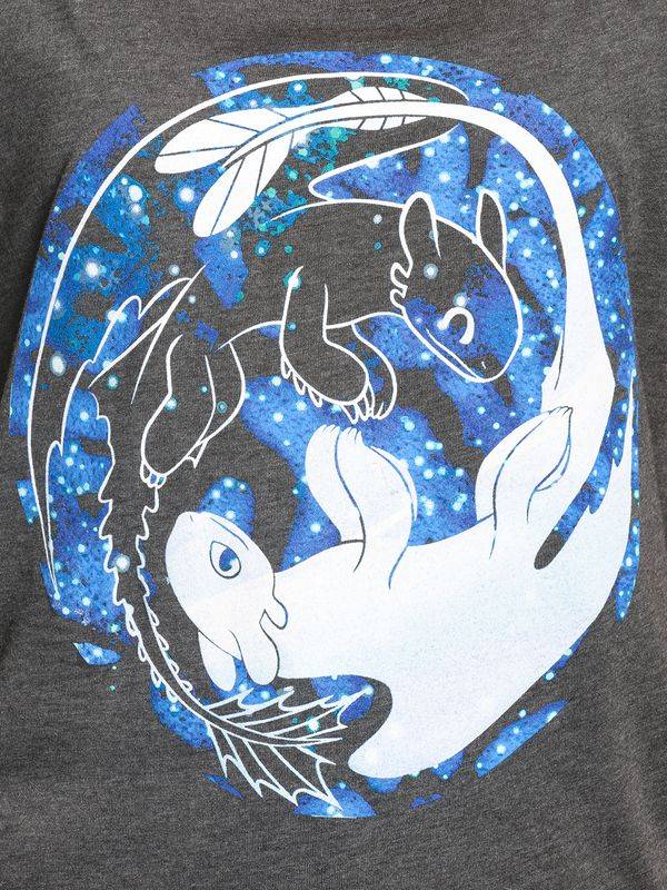Nastrovje Potsdam Dragons, Drachenzähmen leicht gemacht Night & Light Damen Loose-Shirt dunkelgrau meliert Limitierter Zeitrabatt