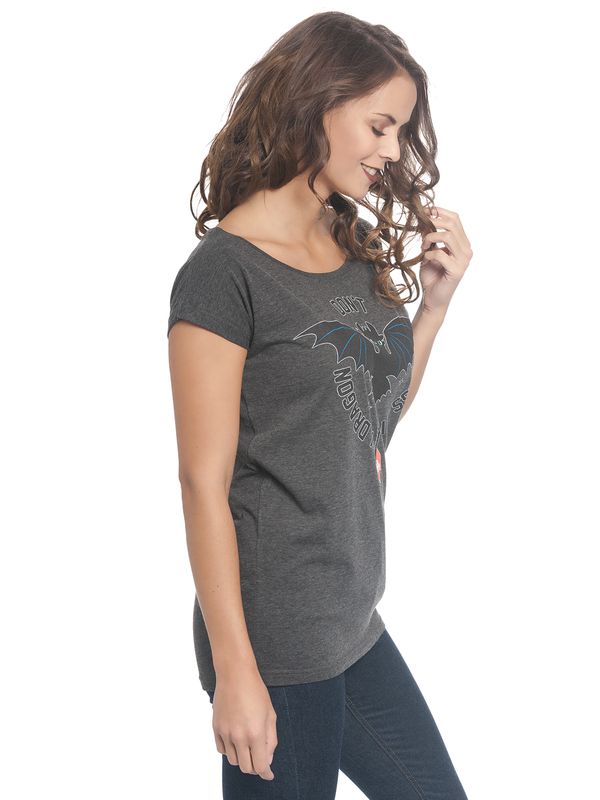 Nastrovje Potsdam Dragons, Drachenzähmen leicht gemacht Don&#039;t Mess Damen Loose-Shirt dunkelgrau meliert Online Shopping