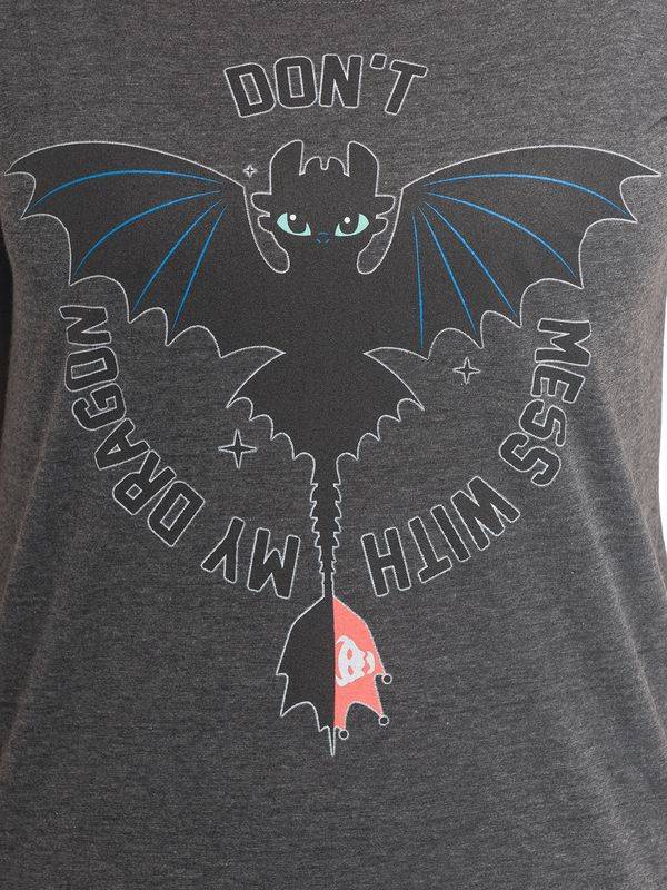 Nastrovje Potsdam Dragons, Drachenzähmen leicht gemacht Don&#039;t Mess Damen Loose-Shirt dunkelgrau meliert Online Shopping